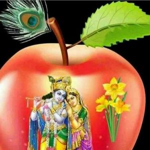 Meet your Posher, Pinal